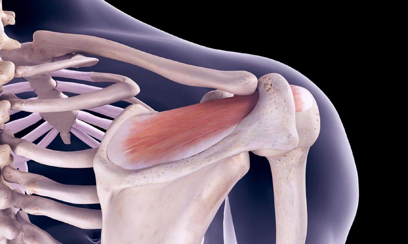 Birgə dislokasiyalar: Diaqnoz, Müalicə və Reabilitasiya