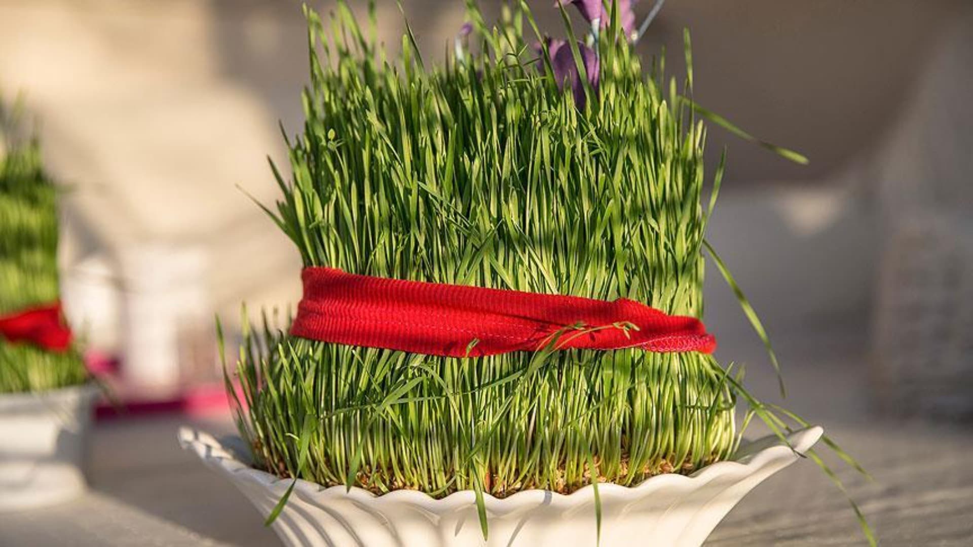 Səməni şirəsinin faydaları