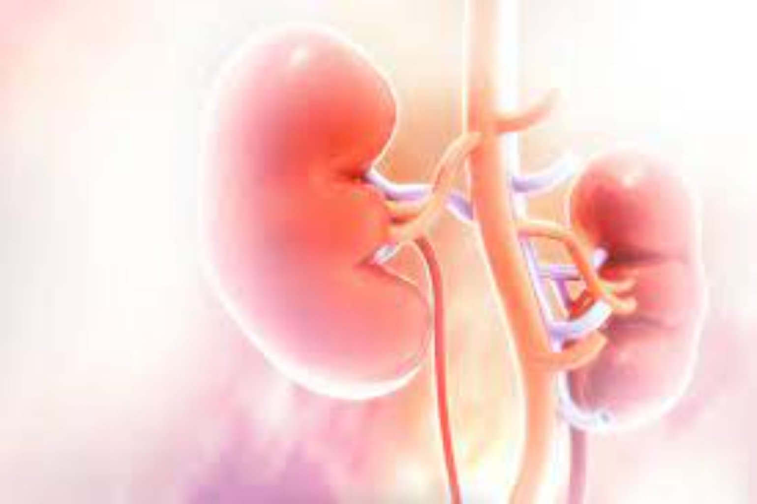 Böyrəklərin polikistik xəstəlikləri