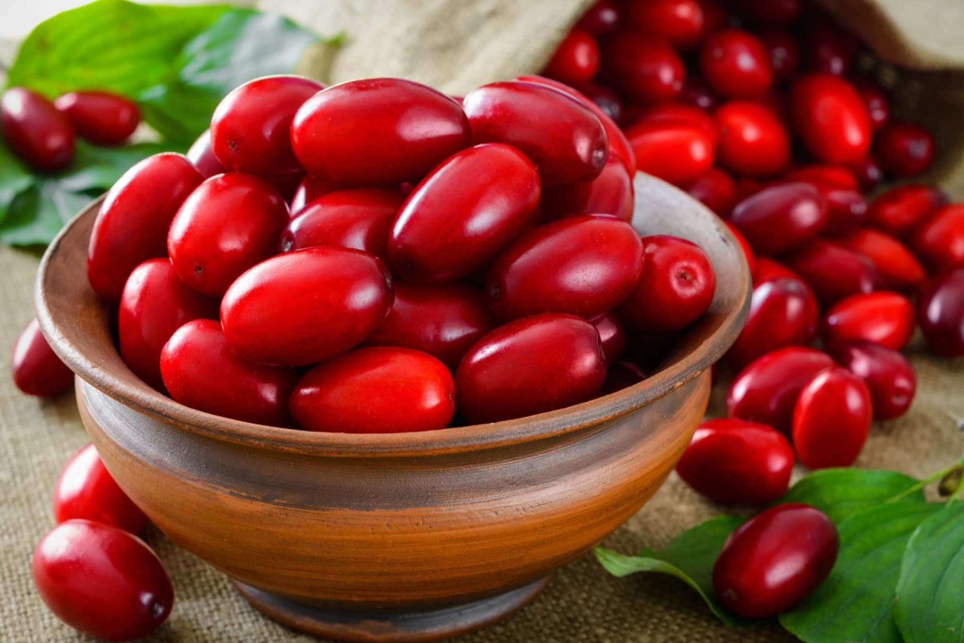 Zoğal - Təbii immunitet