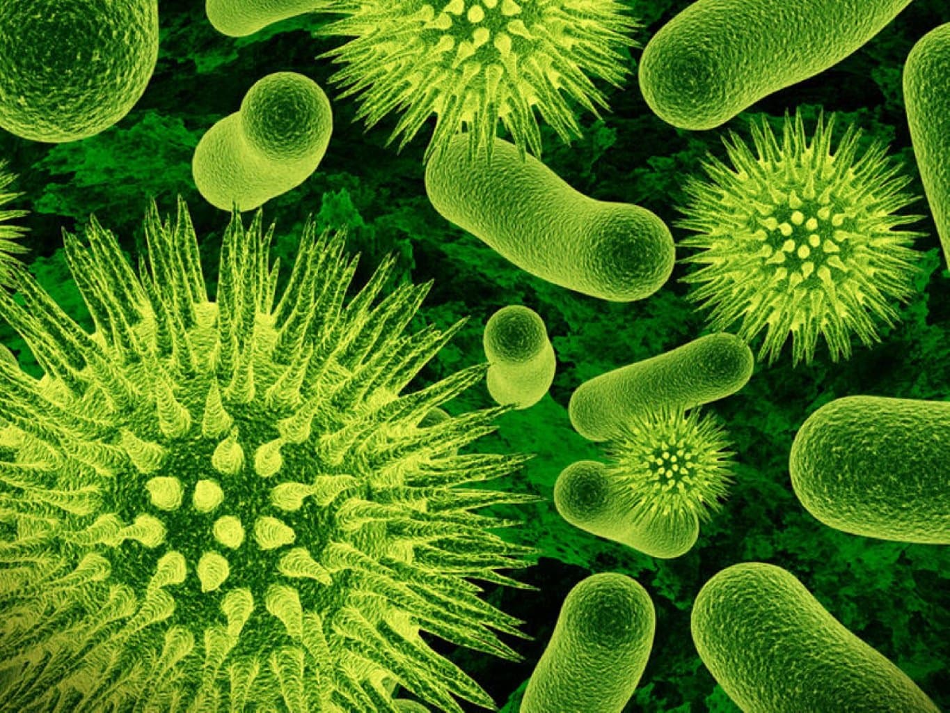 Yoluxucu Xəstəliklər