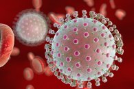 Zika virusu nədir? semptomlar, profilaktika üsulları və müalicə variantları