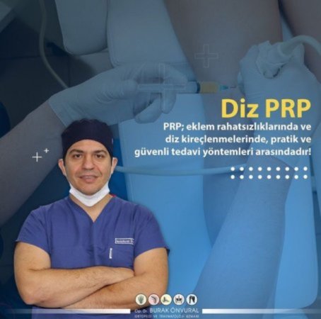 Diz prp