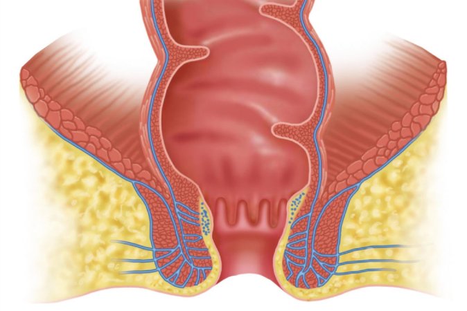 Tinto Brass porno filmlarini onlayn tomosha qiling