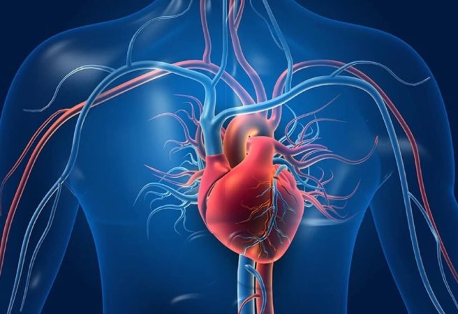 Koronar arteriya xəstəliyi nədir? simptomlar və növləri
