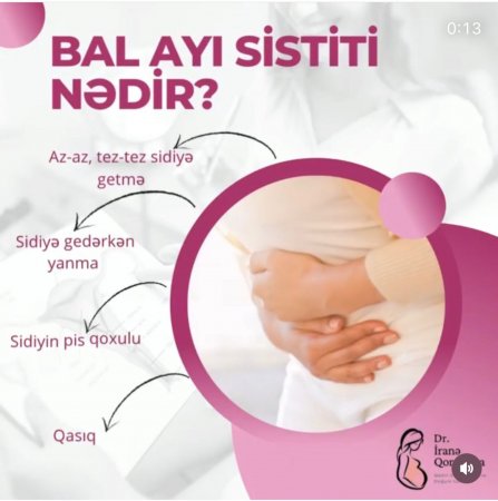 Bal ayı sistiti nədir?