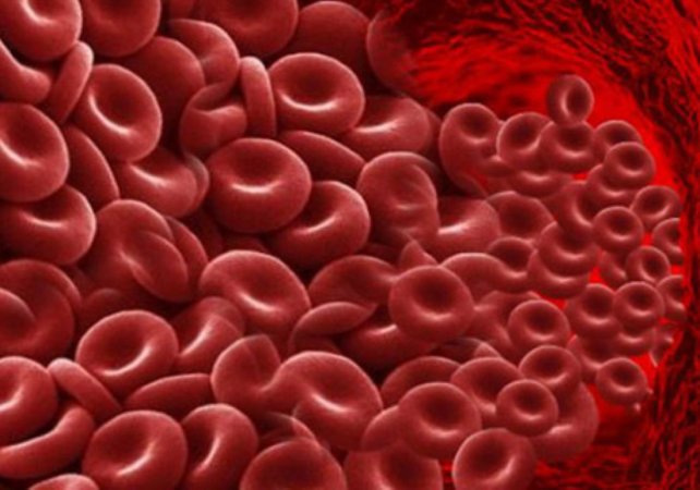 Qanaxma və laxtalanma pozğunluqları