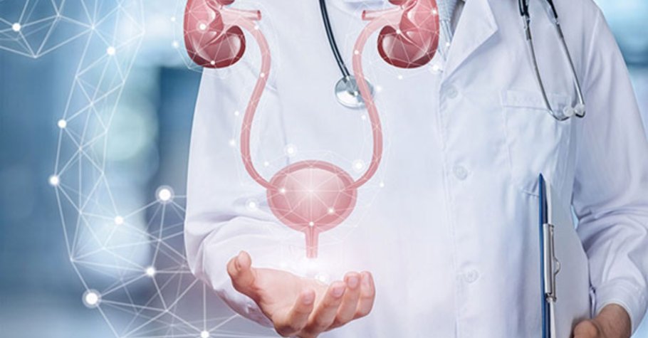 Urologiyada düz bilinən səhvlər! Onlayn görüş