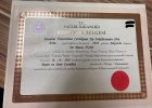 Op. Dr. Murat İnan Neyrocərrah sertifikası