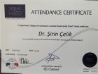 Uzman Doktor Şirin Çelik Dermatoloq sertifikası