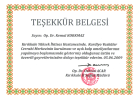 Prof. Dr. Kemal Korkmaz Ürək damar cərrahı sertifikası