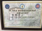 Uzman Doktor Emine Dilek Bahçekapılı Yıldırım Dermatoloq sertifikası