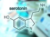 Serotonin nədir? serotonin nə üçün vacibdir?