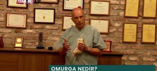 Onurğa nədir? Onurğa beyni şişi necə yaranır?