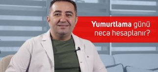Yumurtlama günü necə hesaplanır?